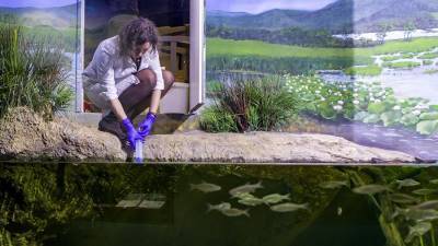 В Приморье ученые начали изучение обитателей водоемов через ДНК в воде
