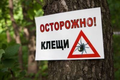 В России начинается сезон клещевого энцефалита