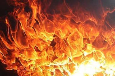 Более 100 животных погибли при пожаре в коровнике в Якутии