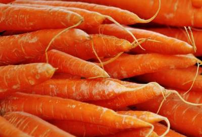 Диетологи назвали самый полезный вид моркови