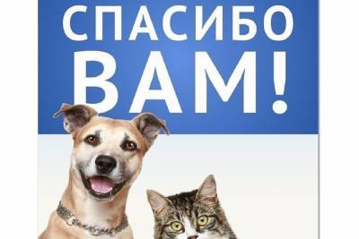 Костромской фонд «Право на жизнь» выкупил участок земли, где находится приют для животных