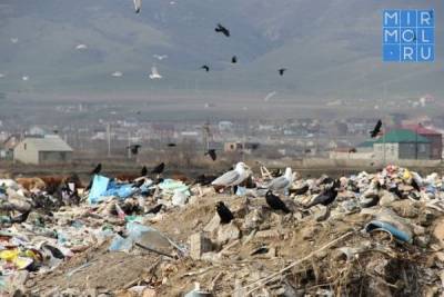 В Дагестане в поисках куда девались больше 400 тысяч тонн мусора