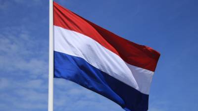 Нидерланды отказались от комментариев по утечке аудиозаписей о деле MH17