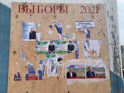«Единая Россия» проиграла довыборы в думу Сухого Лога
