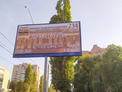 В центре Воронежа вполовину сократят уличную рекламу