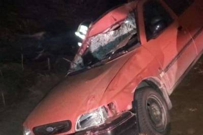 В Лидском районе Форд-Эскорт сбил лося. В аварии пострадал несовершеннолетний пассажир