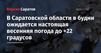 В Саратовской области в будни ожидается настоящая весенняя погода до +22 градусов