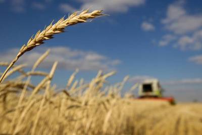 Минсельхоз США повысил прогноз экспорта пшеницы из РФ в этом сельхозгоду до 39,5 млн тонн