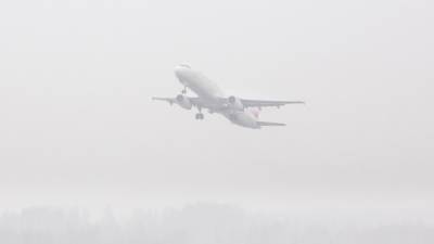 Сильный туман стал причиной задержки 11 рейсов в аэропорту Перми