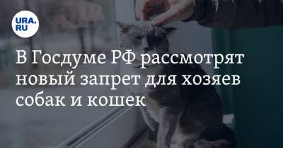 В Госдуме РФ рассмотрят новый запрет для хозяев собак и кошек