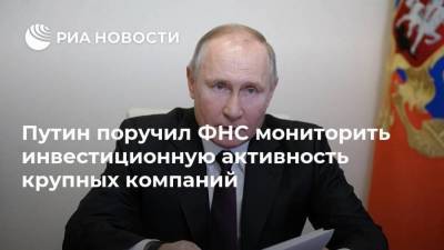 Путин поручил ФНС мониторить инвестиционную активность крупных компаний