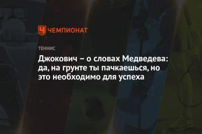 Джокович – о словах Медведева: да, на грунте ты пачкаешься, но это необходимо для успеха