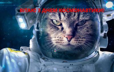 День космонавтики: поздравления, шуточные смс и веселые открытки