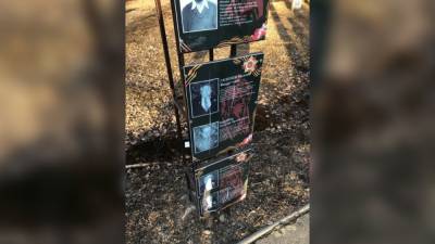 Малолетние вандалы изрезали ножом портреты ветеранов ВОВ в Приамурье