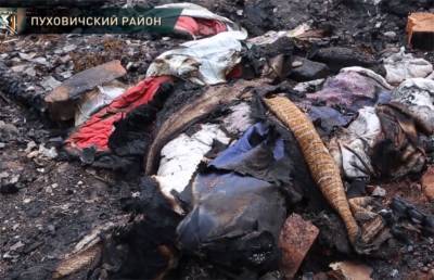 Трагедия в Пуховичском районе: на пожаре погибла пенсионерка и полуторагодовалый внук