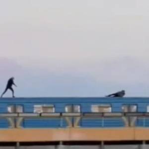 В Киеве двое неизвестных проехались на крыше вагона метро. Видео
