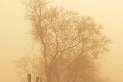 В Ярославле начались пыльные бури
