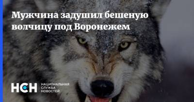 Мужчина задушил бешеную волчицу под Воронежем