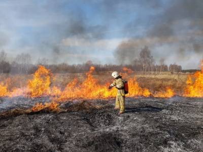 В Челябинской области — первый крупный природный пожар: сгорело 2 гектара камышей