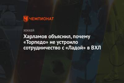 Харламов объяснил, почему «Торпедо» не устроило сотрудничество с «Ладой» в ВХЛ