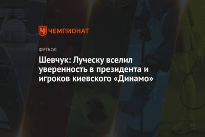 Шевчук: Луческу вселил уверенность в президента и игроков киевского «Динамо»