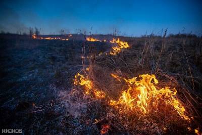 За выходные в Смоленской области произошло более 260 палов сухой травы