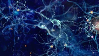 Корейские ученые создали реагирующую на свет нейросеть