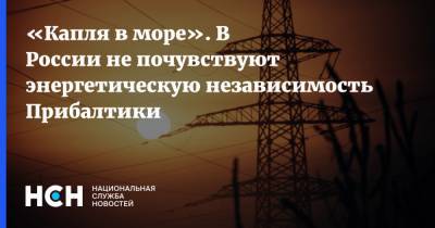 «Капля в море». В России не почувствуют энергетическую независимость Прибалтики