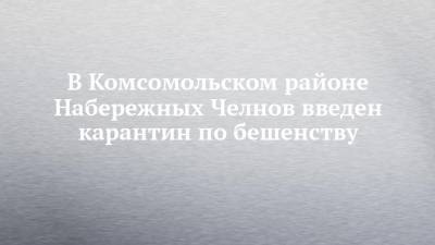 В Комсомольском районе Набережных Челнов введен карантин по бешенству