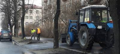 Парламентарий Виталий Красулин раскрыл секрет, как сделать Петрозаводск чистым