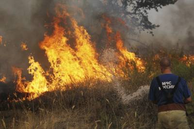 15 случаев возгорания сухой травы отмечено в Нижегородской области
