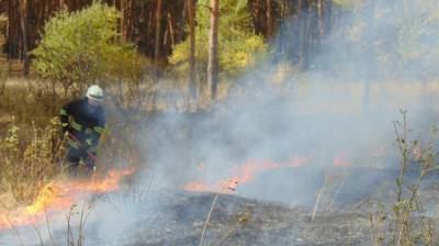 В Лисичанске заседала комиссия ТЭБ и ЧС по вопросу отдыха людей на воде и природных пожаров