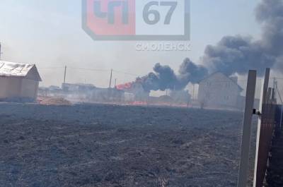 В Смоленском районе пал травы привел к двум пожарам