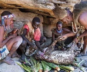 Как образ жизни африканского племени хадза поможет стать здоровее