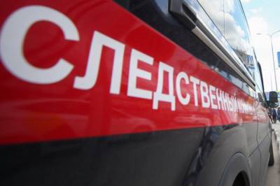СК начал проверку после гибели пожарного на «Невской мануфактуре» в Петербурге - vm.ru - Санкт-Петербург - Гсуск - территория России