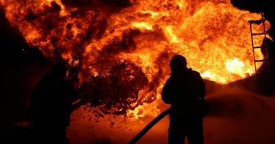 В Киевской области в пожаре погиб 5-летний мальчик