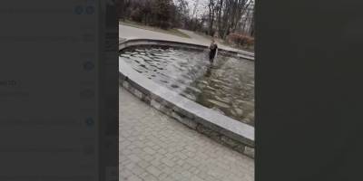 День космонавтики 12 апреля - в Киеве мужчина искупался в фонтане в Ботаническом саду, видео - ТЕЛЕГРАФ
