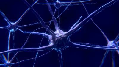 Создана искусственная нервная система с сознательными реакциями