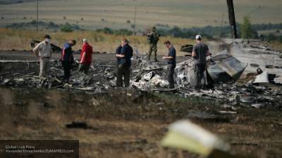 Антипов раскрыл, как пассажирские кресла MH17 выкосят «бурьян» в версии Нидерландов