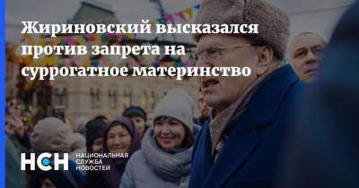 Жириновский высказался против запрета на суррогатное материнство
