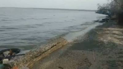 В Затоке в Одесской области слили нечистоты в воду: на берегу грязно и воняет – видео