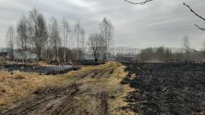 В Тверской области из-за пала травы сгорели два десятка дачных домов