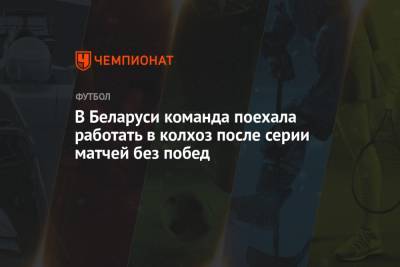 В Беларуси команда поехала работать в колхоз после серии матчей без побед