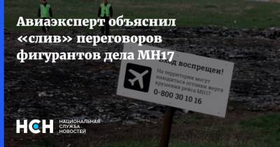 Авиаэксперт объяснил «слив» переговоров фигурантов дела MH17