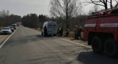 Врезался в дерево на полном ходу: в ДТП под Ярославлем пострадал водитель