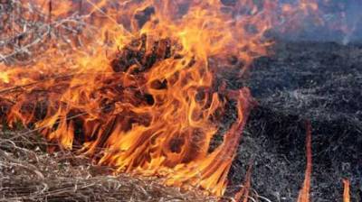 На Луганщине снова все запылало: горит сухостой