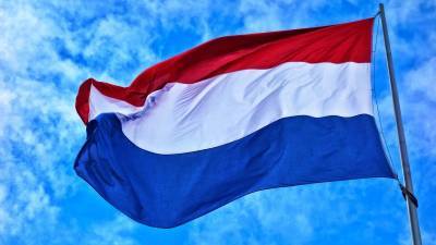 Проект закона о расторжении налогового соглашения с Нидерландами внесен в ГД