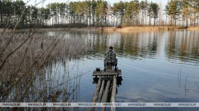 Запрет на лов судака вводится в Беларуси с 15 апреля