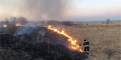 Во Львовской области из-за поджога сухой травы сгорели три автобуса