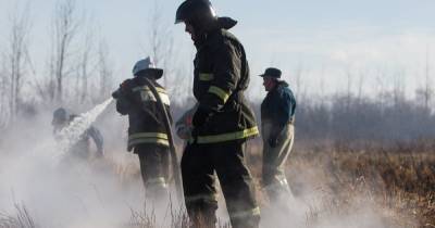Жителя Черняховского района оштрафовали на 2 тыс. рублей за поджог травы